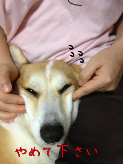 やめてください2