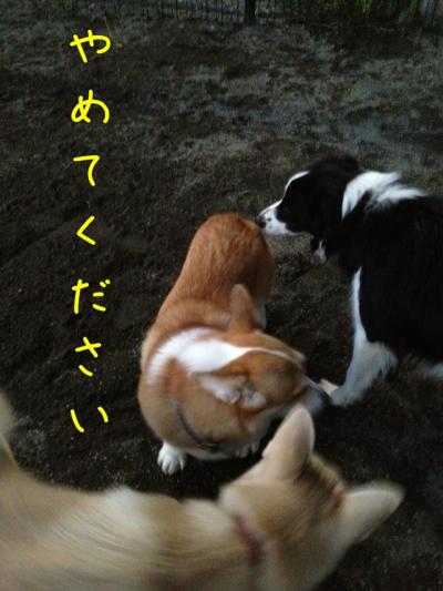 やめてください