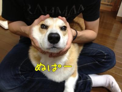 ぬぱー