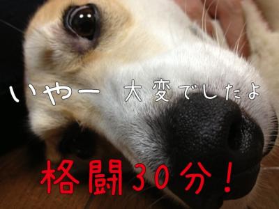 大変だったんですよ