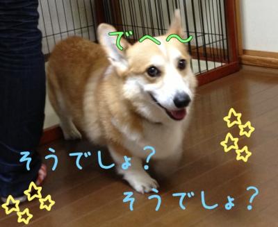 そうでしょ?そうでしょ?