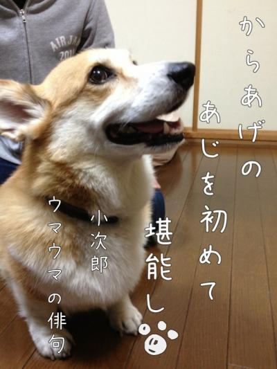 俳句
