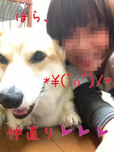 仲直り