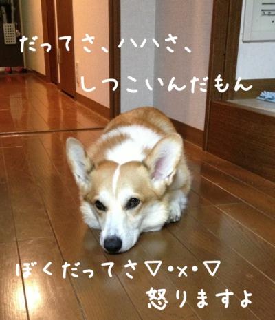 しつこいんだもん