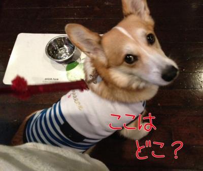 ここはどこ?