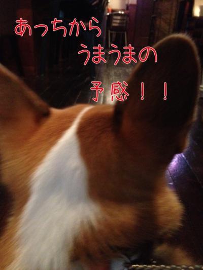 うまうまの予感