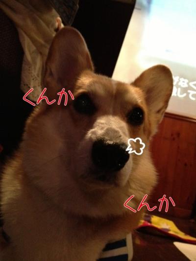 くんかくんか