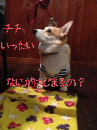 何がはじまるの?