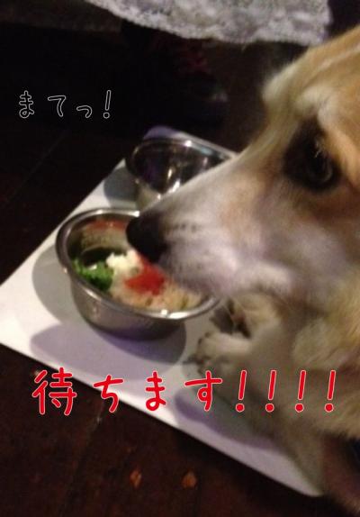 まて