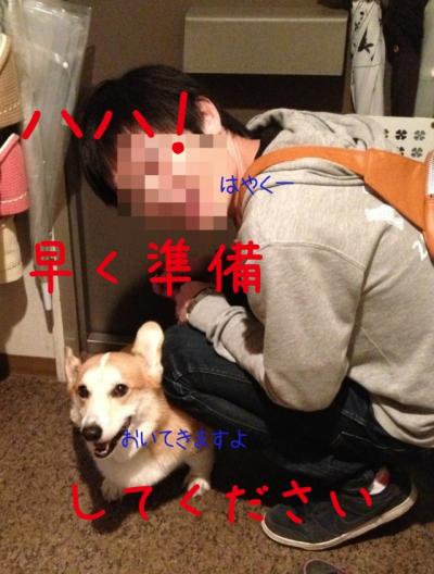 早くしてください