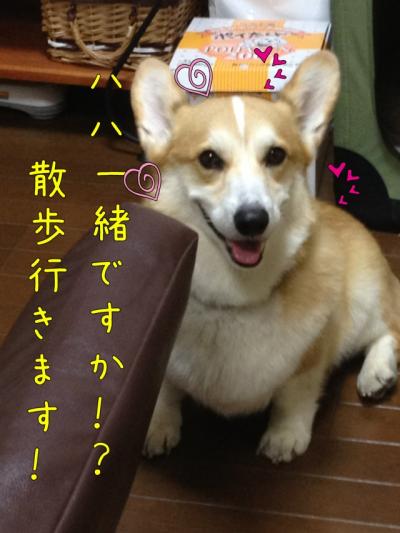 ハハと散歩2