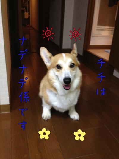チチなでなで