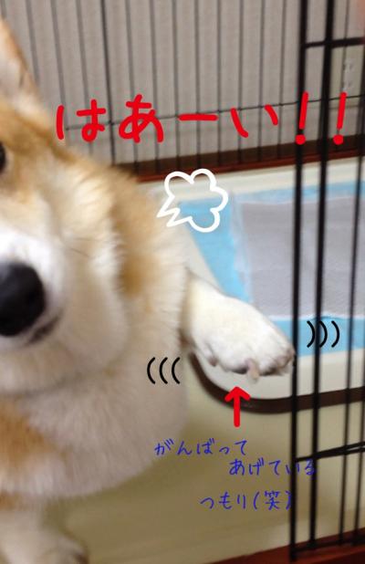 はーい