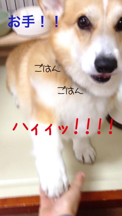 お手