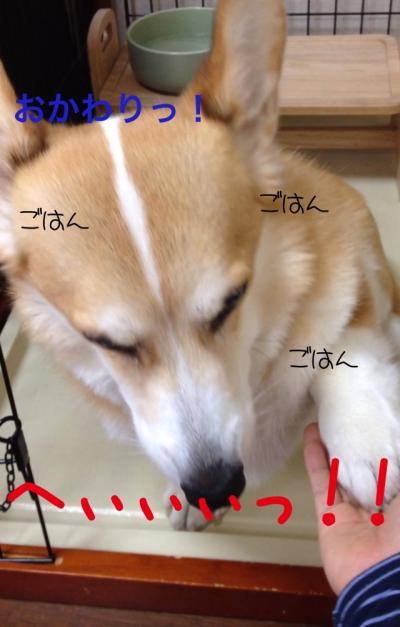おかわり