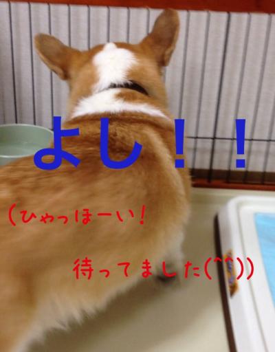 よし