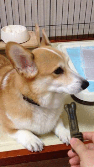 グリニーズ