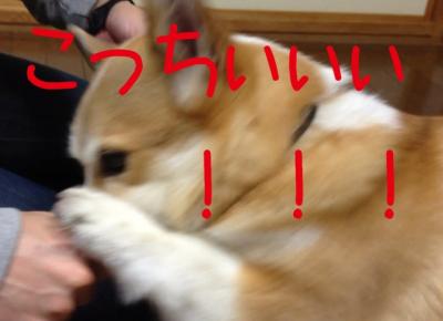 こっちぃぃぃ!!