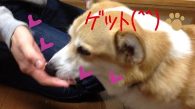 ゲット