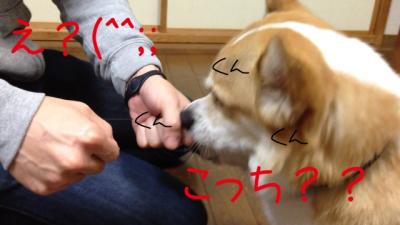 え?こっち?