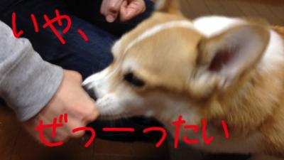 いーや、ぜったい。