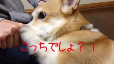 こっちかな2