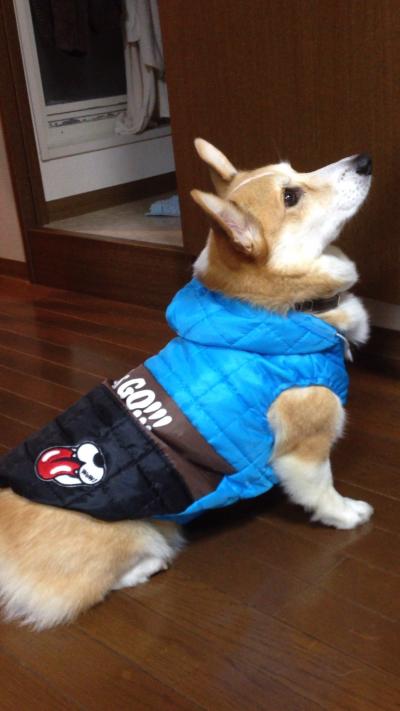 レッツゴー