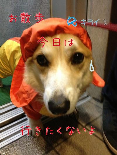 行きたくないよ