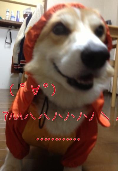 あははは・・・・