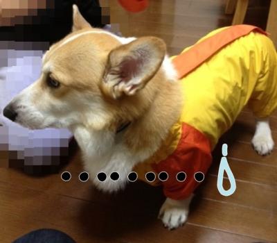 ・・・・・