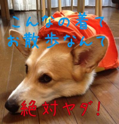 絶対やだ