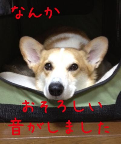 恐ろしい音