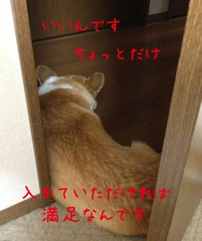 いいんです
