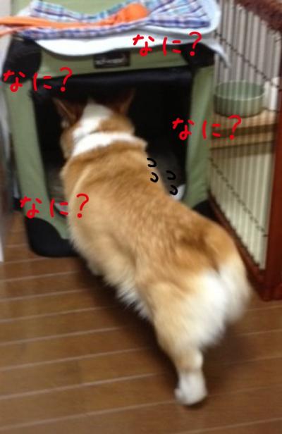 なに?