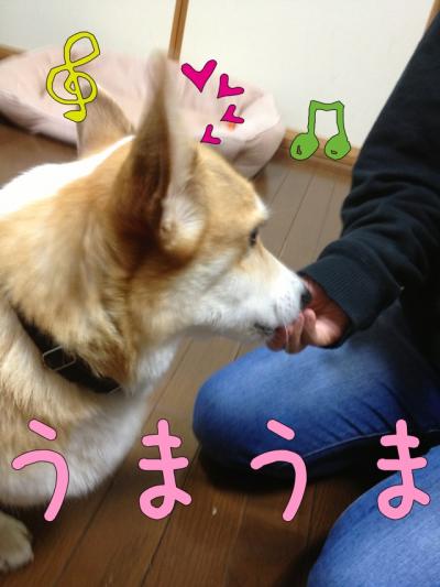 うまうま