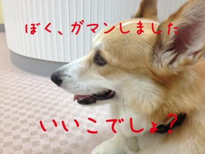 我慢しました
