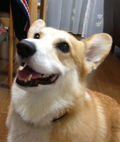 えへ