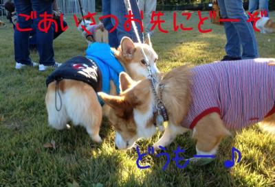 ごあいさつ