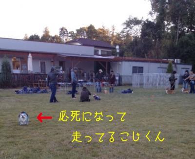 必死に走ってる