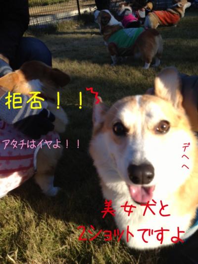 拒否