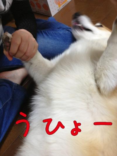 うひょー