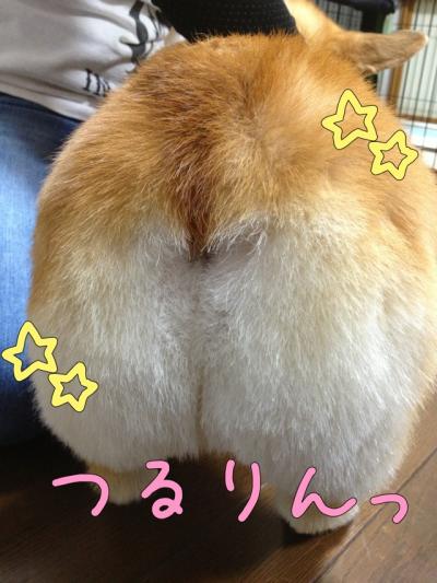 つるりん