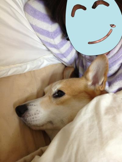 ベッド2