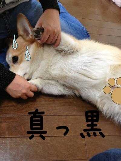 真っ黒