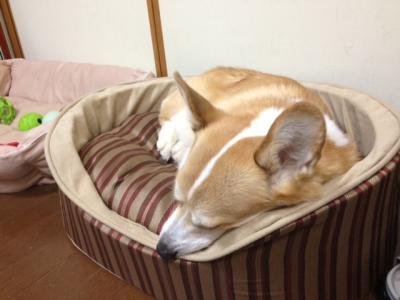 まったり