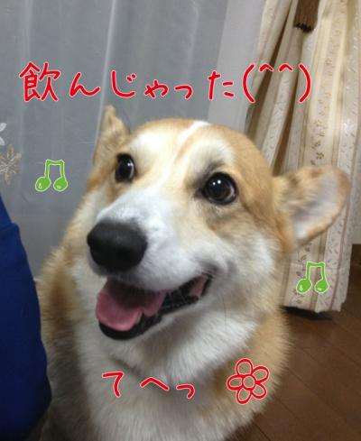飲んじゃった