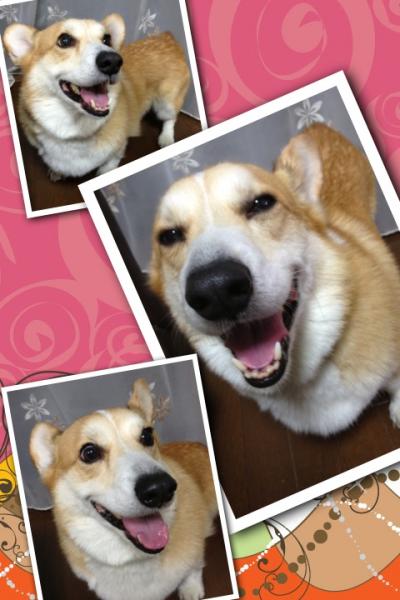 たのしー