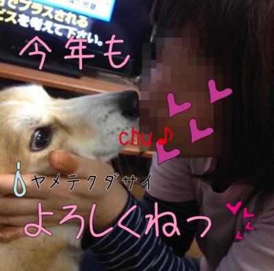 よろしくね