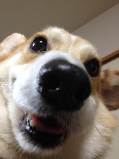 アップ