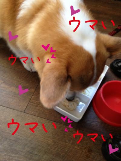 ウマイウマイ